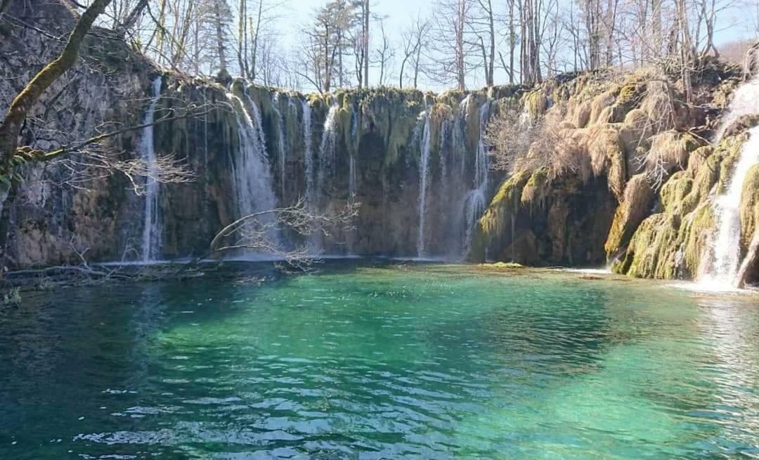 Guesthouse Zalac Szluin Kültér fotó